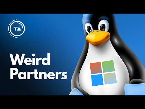 Bad news for devs — the one feature that made Linux better than Windows is finally jumping ship